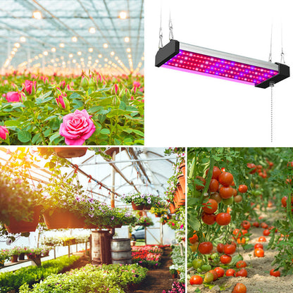 Full-Spectrum LED Plant Grow Light for Optimal Growth – With Pull Switch for Flexibility