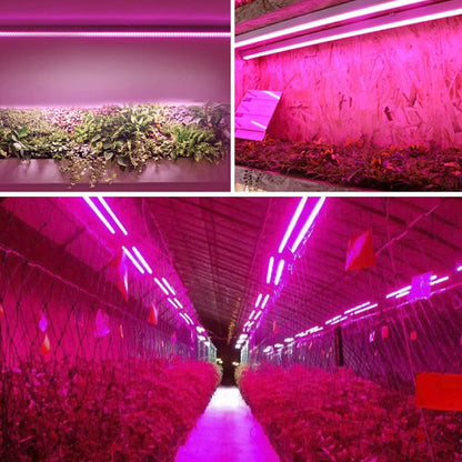 Full-Spectrum LED Plant Grow Light for Optimal Growth – With Pull Switch for Flexibility