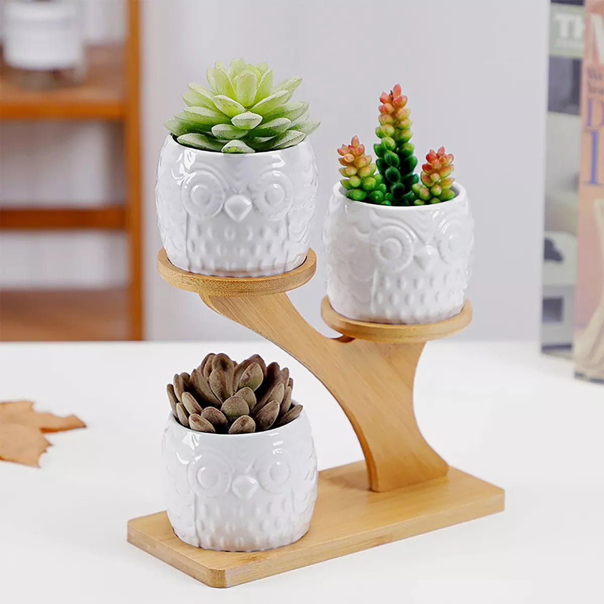 Decorative wooden owl plant stand – planter for succulents and indoor plants