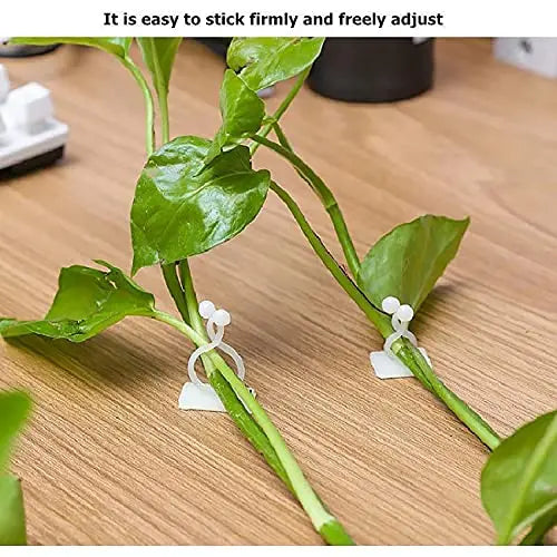 Practical Climbing Plant Wall Clips – Plant Holders for Wall Decoration and Vertical Gardening
