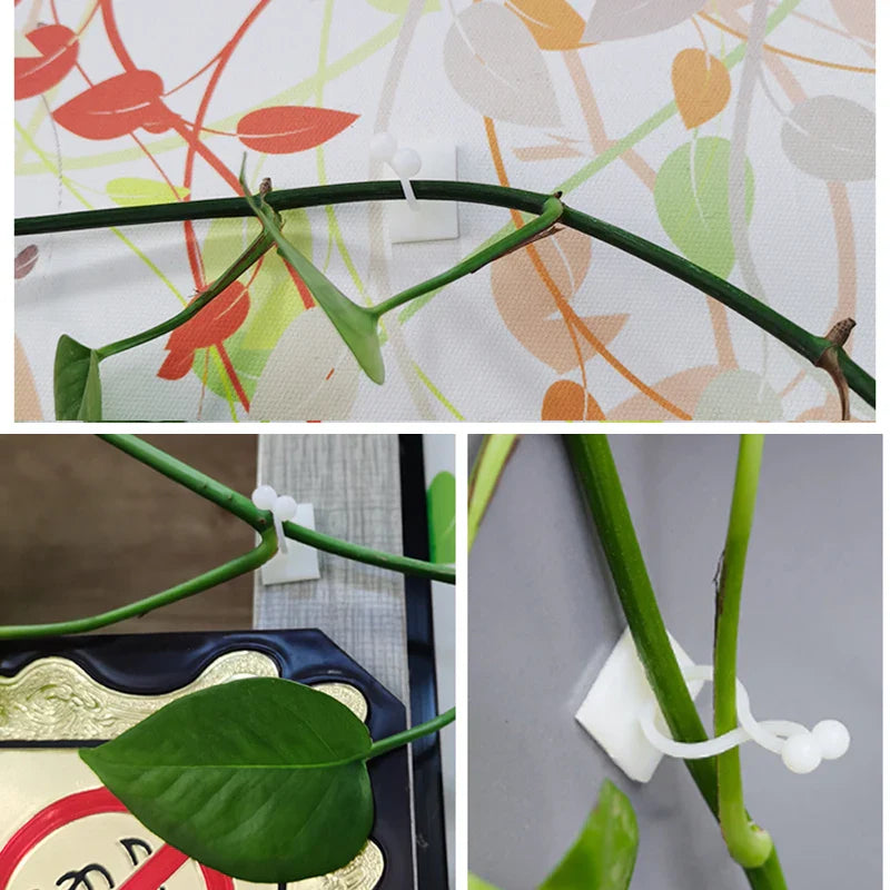 Practical Climbing Plant Wall Clips – Plant Holders for Wall Decoration and Vertical Gardening