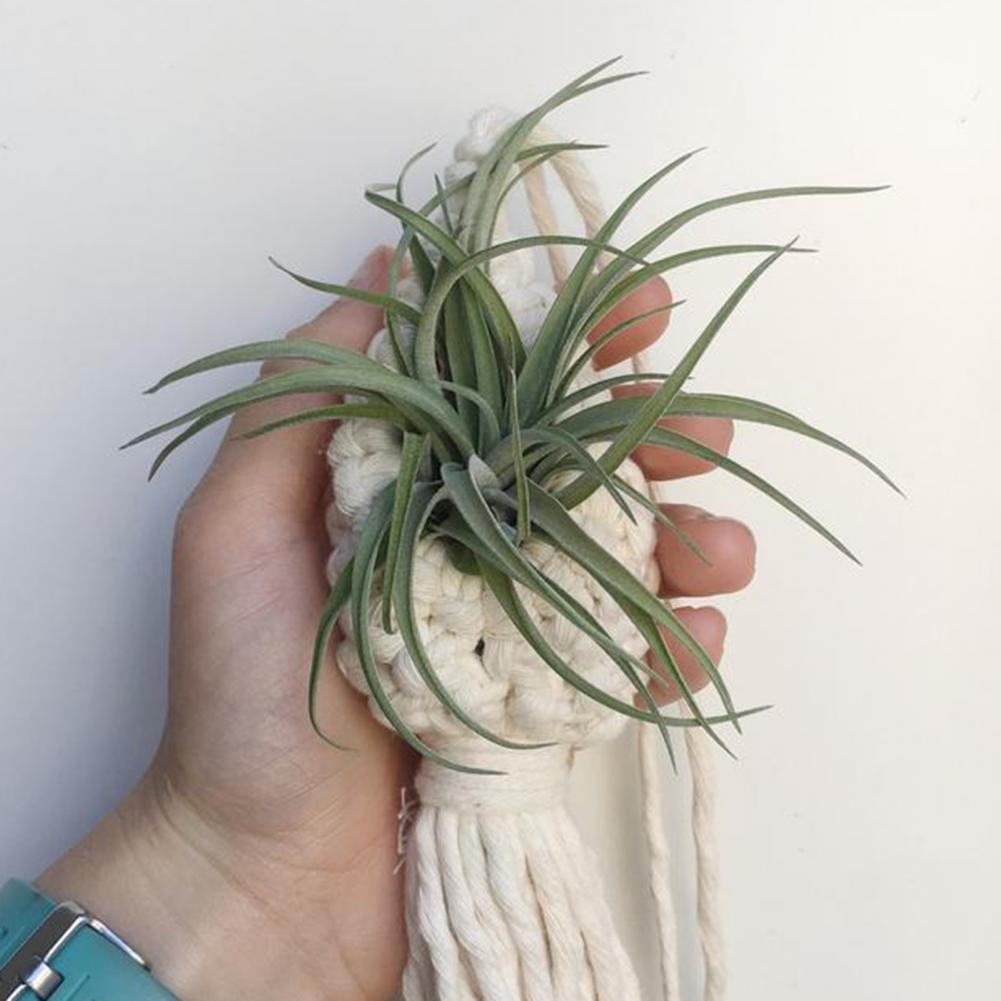 Handcrafted Macramé Plant Hanger in Boho Style – Decorative Hanging Holder for Indoor and Garden Plants