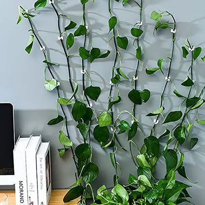 Practical Climbing Plant Wall Clips – Plant Holders for Wall Decoration and Vertical Gardening