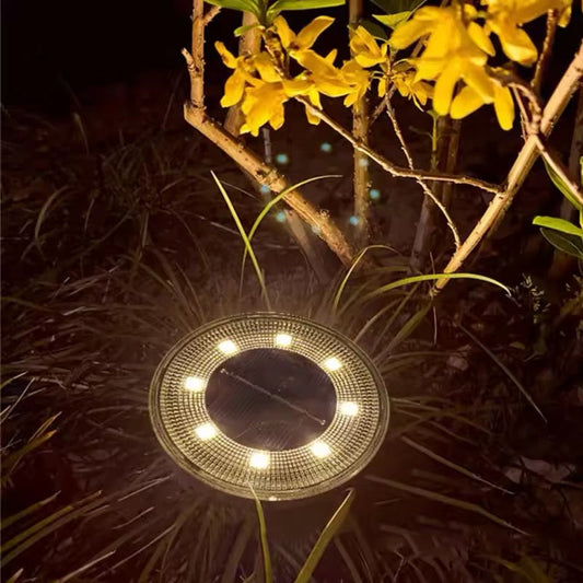 Garden Solar Lamp for Pathways and Flower Beds