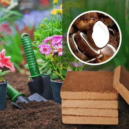 Coconut Soil Enriched with Nutrients