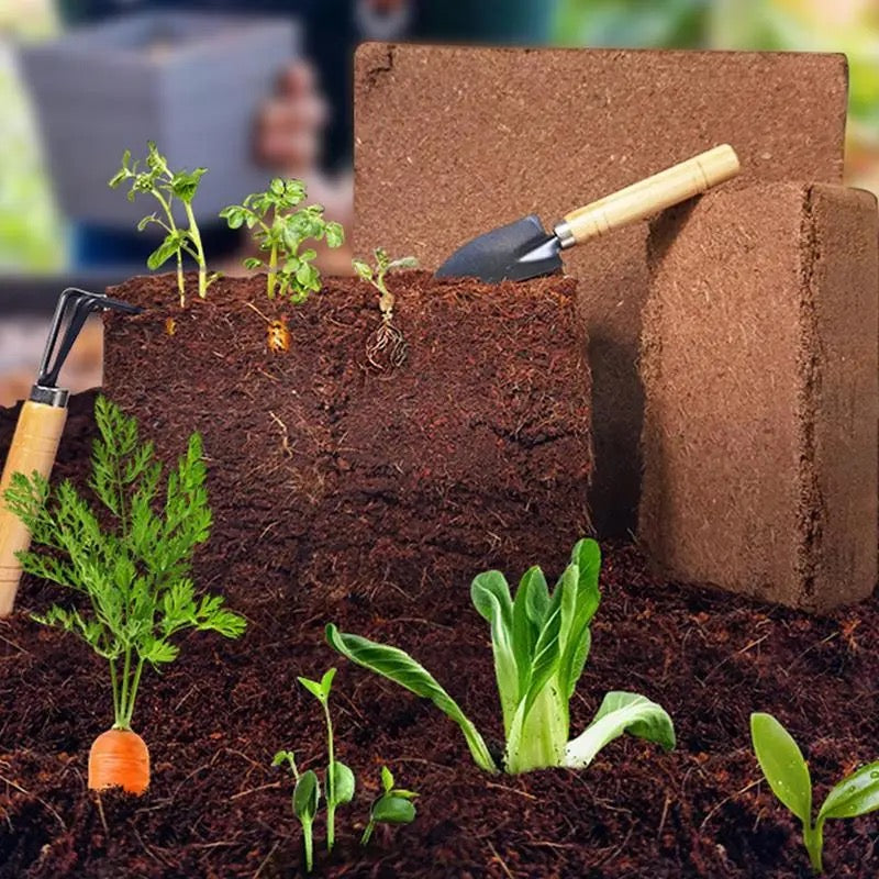 Coconut Soil Enriched with Nutrients