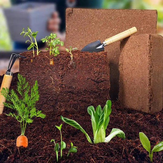 Coconut Soil Enriched with Nutrients