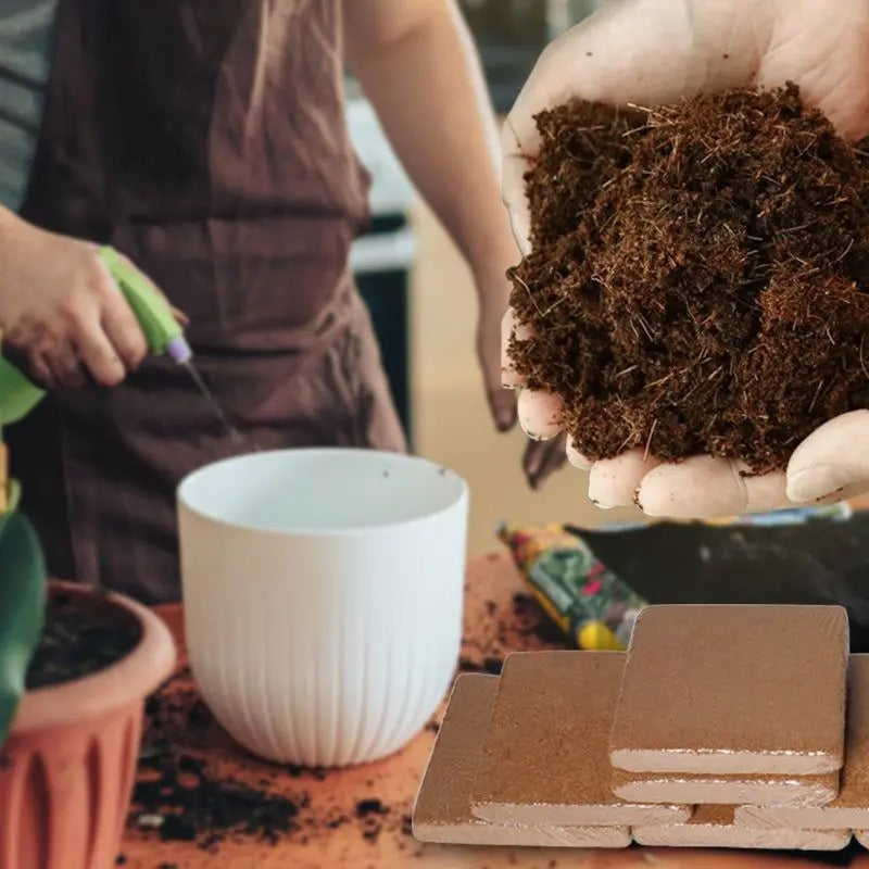 Coconut Soil Enriched with Nutrients