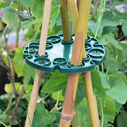 Plant Support Ring for Bamboo Stakes – Sturdy Climbing Support for Tomatoes, Climbing Plants, and Garden Plants