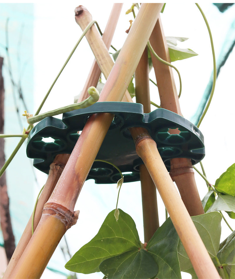 Plant Support Ring for Bamboo Stakes – Sturdy Climbing Support for Tomatoes, Climbing Plants, and Garden Plants