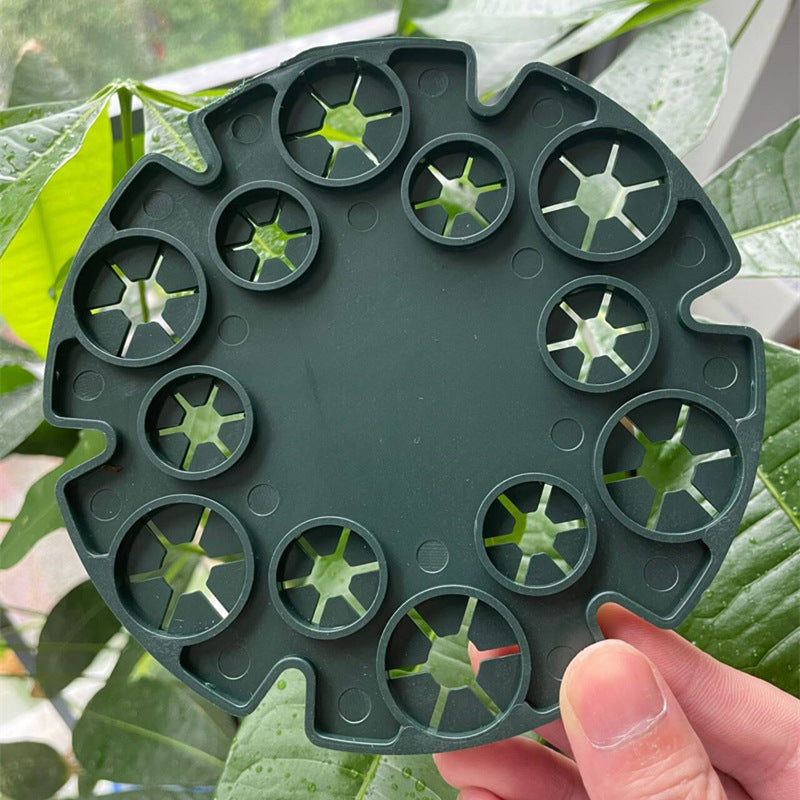 Plant Support Ring for Bamboo Stakes – Sturdy Climbing Support for Tomatoes, Climbing Plants, and Garden Plants