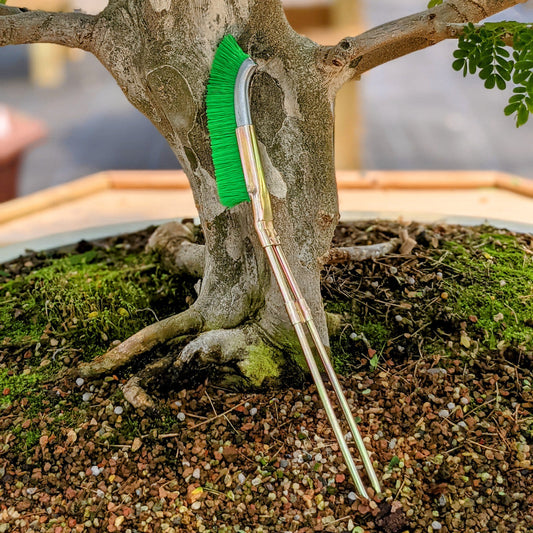 Bonsai Cleaning Nylon Brush – Effective Tool for Trunk Care for Garden and Plant Care