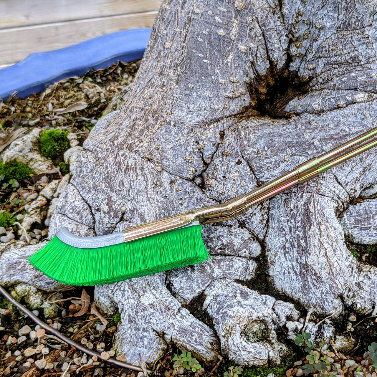 Bonsai Cleaning Nylon Brush – Effective Tool for Trunk Care for Garden and Plant Care