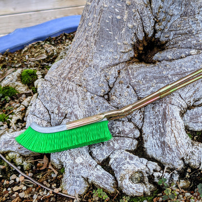 Bonsai Cleaning Nylon Brush – Effective Tool for Trunk Care for Garden and Plant Care