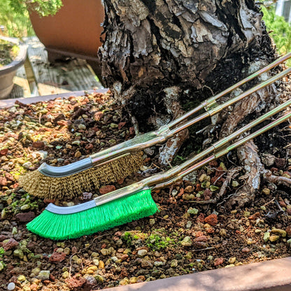 Bonsai Cleaning Nylon Brush – Effective Tool for Trunk Care for Garden and Plant Care