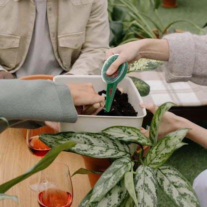 Adjustable Seed Spreader for Precise Distribution – Easy Garden Seed Dispenser for Even Sowing