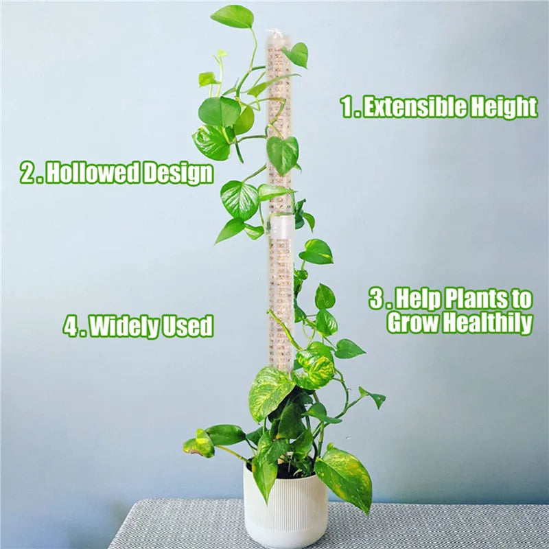Support Columns for Climbing Plants – Pillars for Vertical Plant Growth and Green Plants