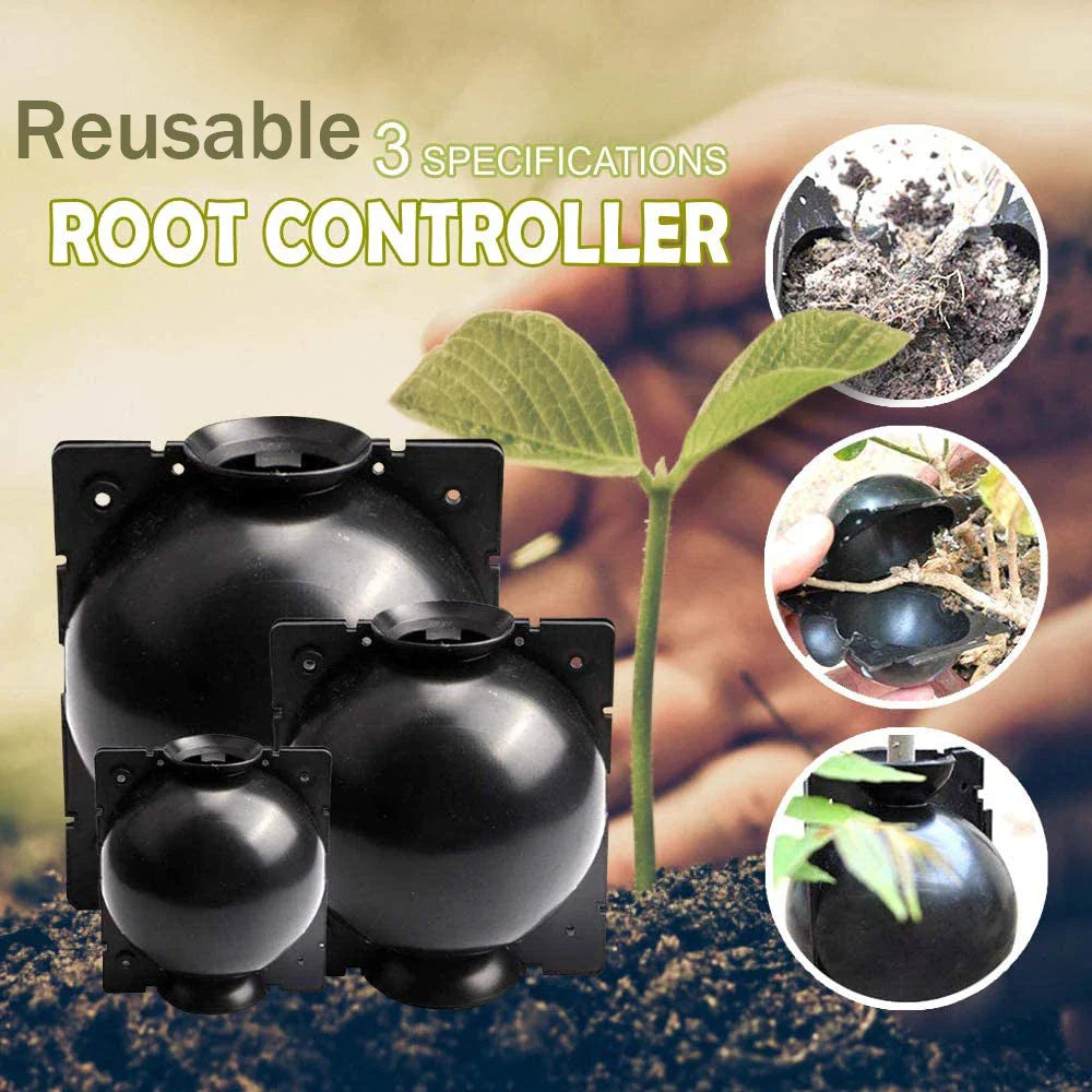 Plant Protection Balls for Roots – Protective Caps for Safe Transplanting and Healthy Growth