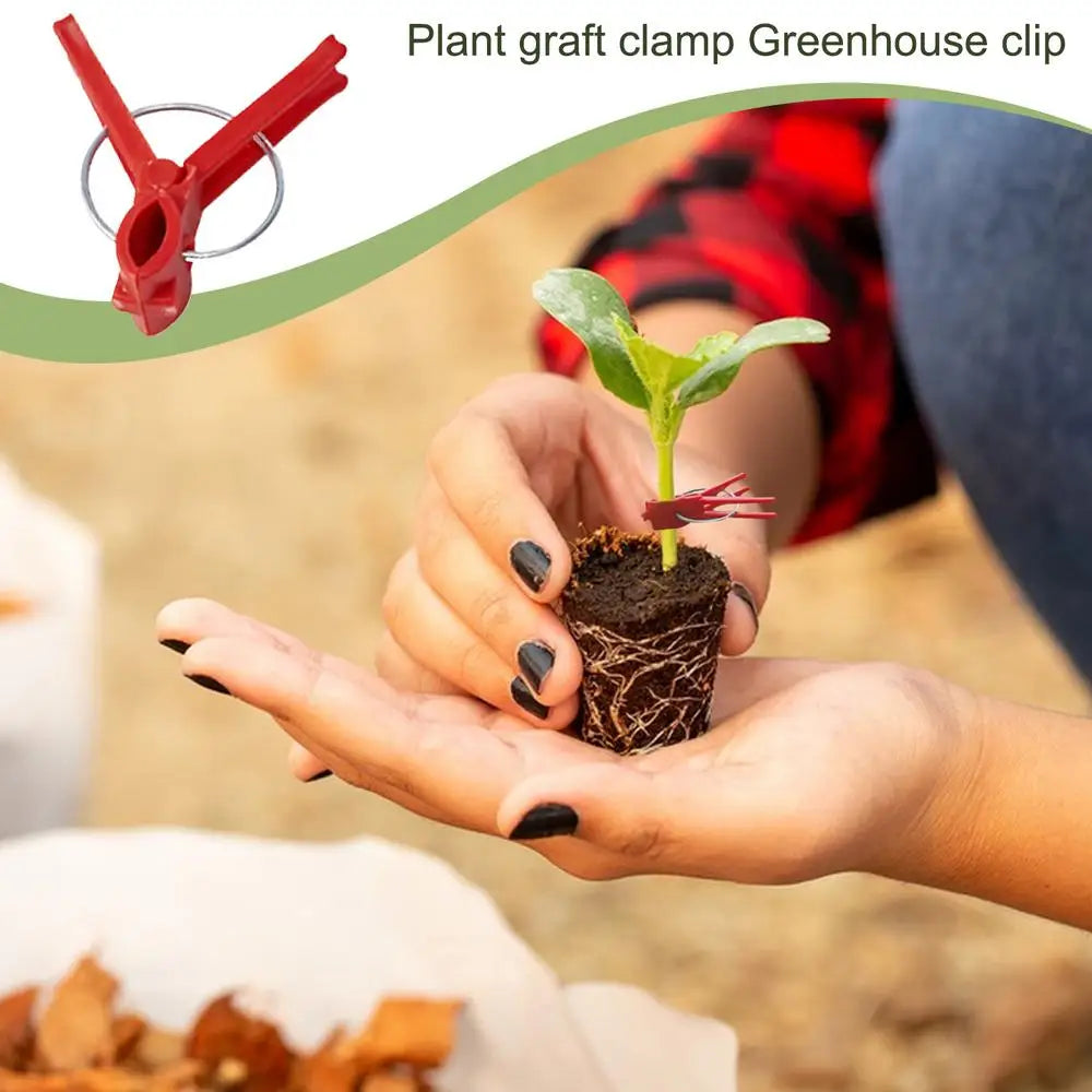 Plastic Grafting Clips for Garden Plants – Perfect for Vegetable and Plant Care