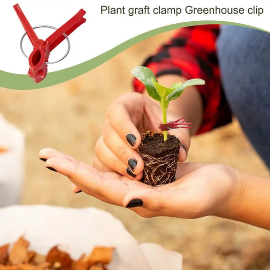 Plastic Grafting Clips for Garden Plants – Perfect for Vegetable and Plant Care