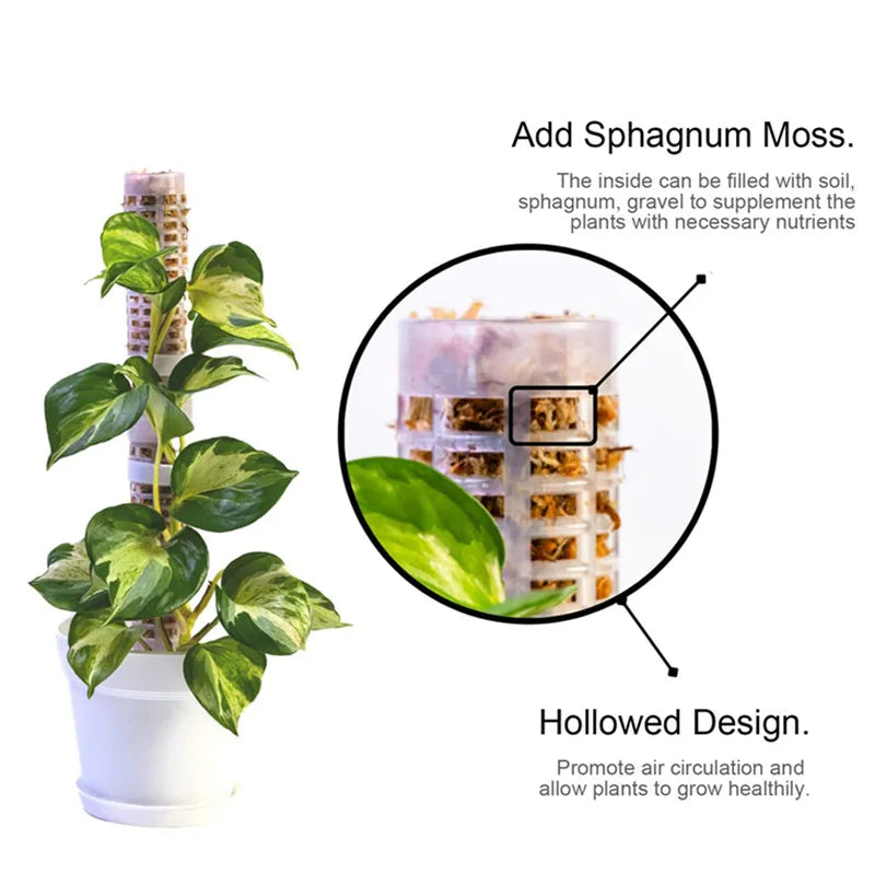 Support Columns for Climbing Plants – Pillars for Vertical Plant Growth and Green Plants
