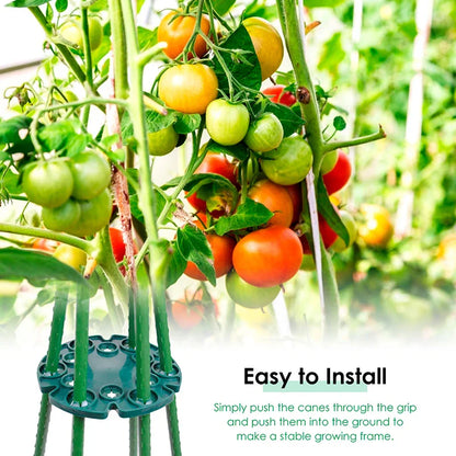 Plant Support Ring for Bamboo Stakes – Sturdy Climbing Support for Tomatoes, Climbing Plants, and Garden Plants