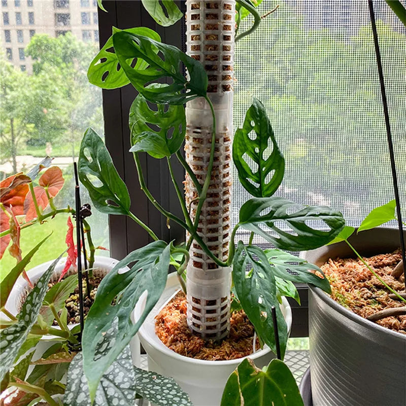 Support Columns for Climbing Plants – Pillars for Vertical Plant Growth and Green Plants