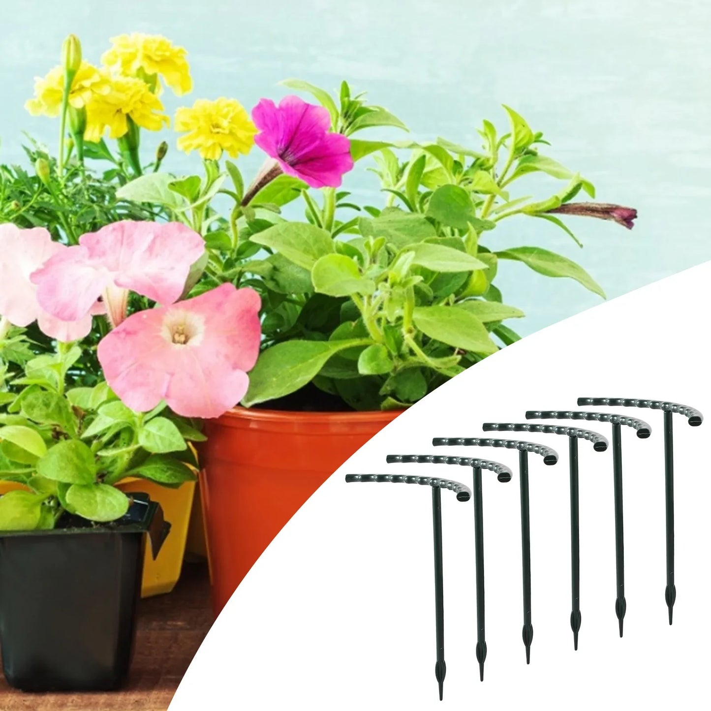 Sturdy Plant Climbing Support – Cage-Design Holder for Growth and Stability