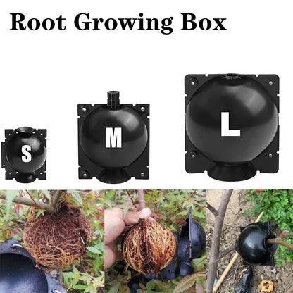Plant Protection Balls for Roots – Protective Caps for Safe Transplanting and Healthy Growth
