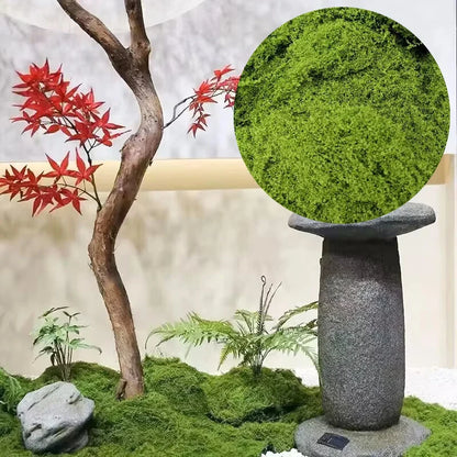 Moss Cover Piece – Moss Flake Ornament for Decorative Landscaping and Garden Decoration