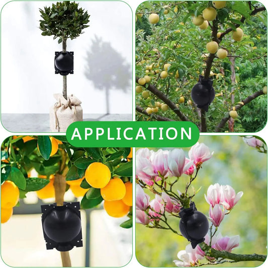 Plant Protection Balls for Roots – Protective Caps for Safe Transplanting and Healthy Growth