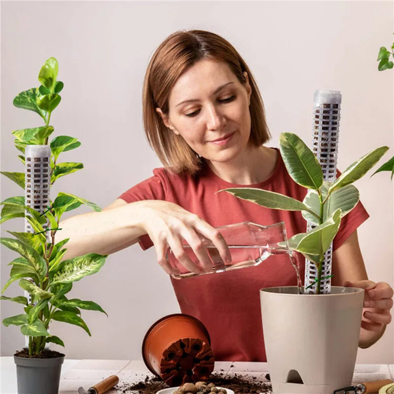 Support Columns for Climbing Plants – Pillars for Vertical Plant Growth and Green Plants