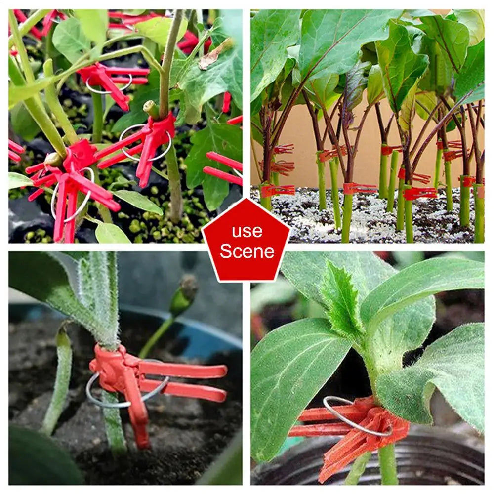 Plastic Grafting Clips for Garden Plants – Perfect for Vegetable and Plant Care