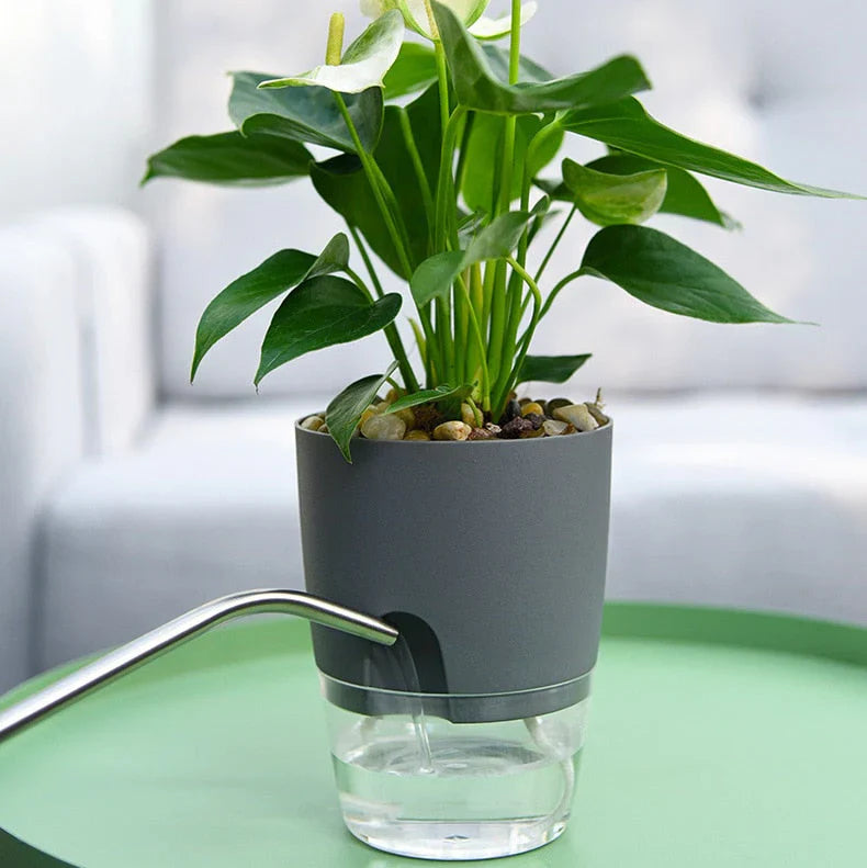 Self-Watering Plant Pot – Automatic Watering Planter