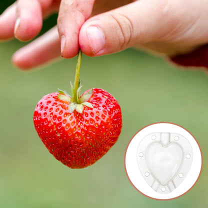 Heart-Shaped Vegetable Mold – Creative Shaping Mold for Fruits and Vegetables in the Garden