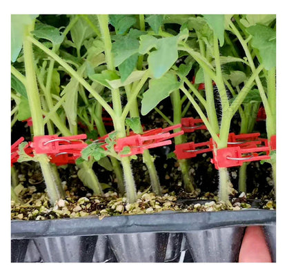 Plastic Grafting Clips for Garden Plants – Perfect for Vegetable and Plant Care