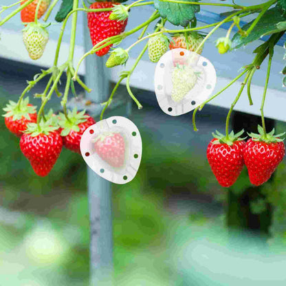 Heart-Shaped Vegetable Mold – Creative Shaping Mold for Fruits and Vegetables in the Garden