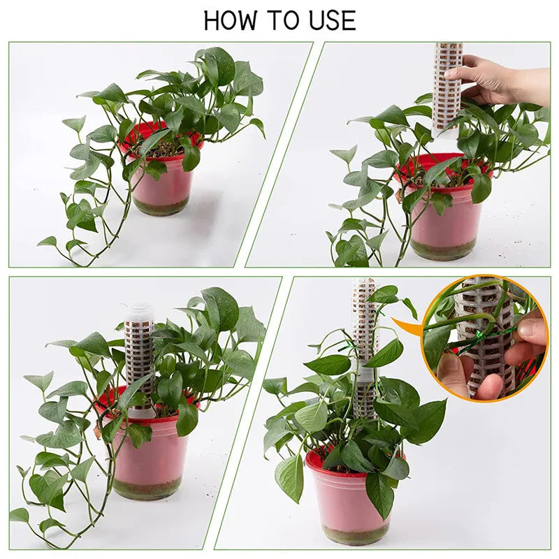 Support Columns for Climbing Plants – Pillars for Vertical Plant Growth and Green Plants