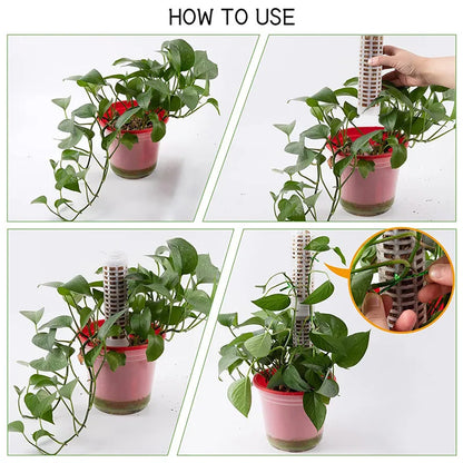 Support Columns for Climbing Plants – Pillars for Vertical Plant Growth and Green Plants