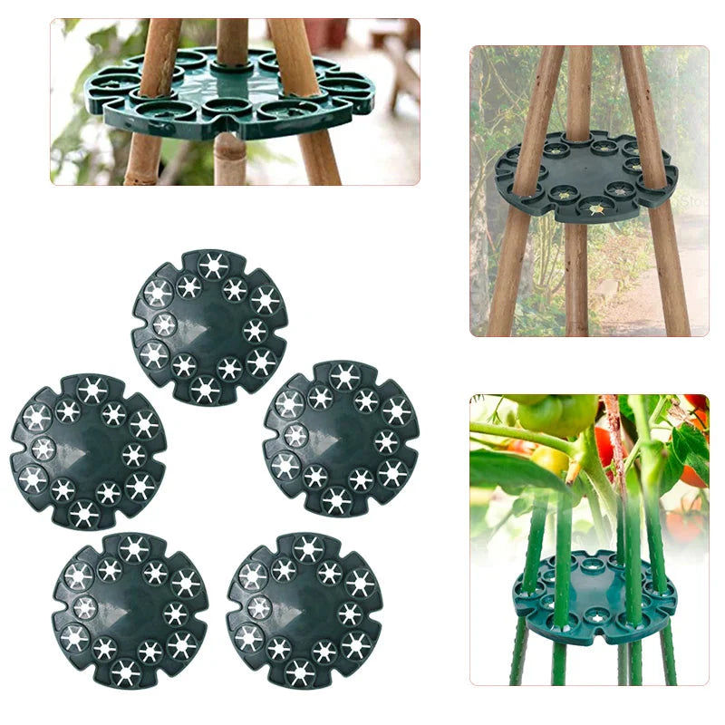 Plant Support Ring for Bamboo Stakes – Sturdy Climbing Support for Tomatoes, Climbing Plants, and Garden Plants
