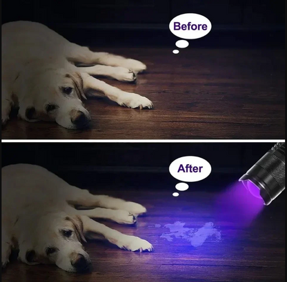 UV LED Flashlight – Ultraviolet Light for Stain and Pet Urine Detection