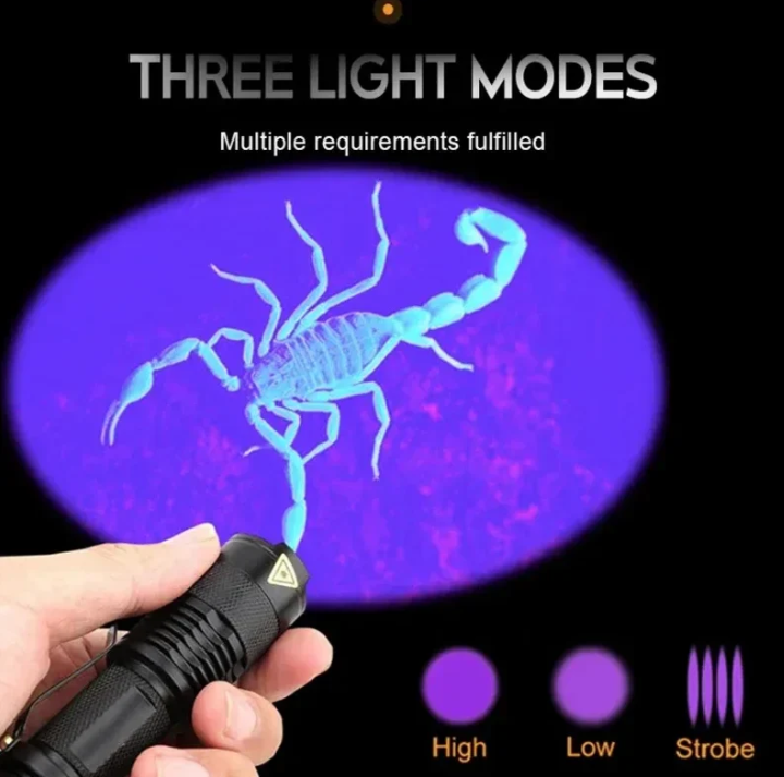 UV LED Flashlight – Ultraviolet Light for Stain and Pet Urine Detection