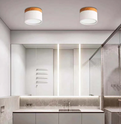 Timeless LED Ceiling Light in Morandi Design