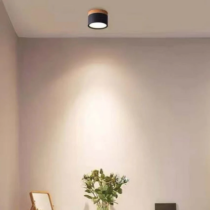 Timeless LED Ceiling Light in Morandi Design