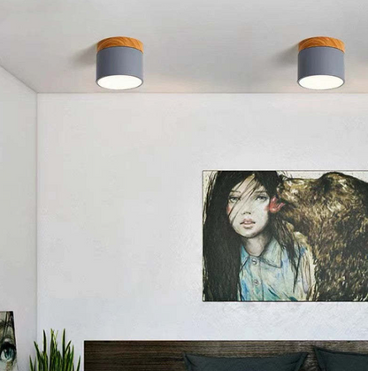 Timeless LED Ceiling Light in Morandi Design