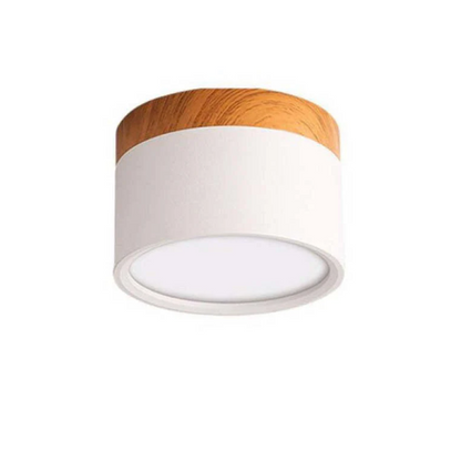 Timeless LED Ceiling Light in Morandi Design