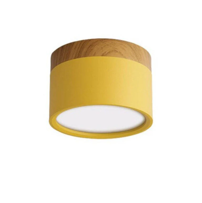 Timeless LED Ceiling Light in Morandi Design