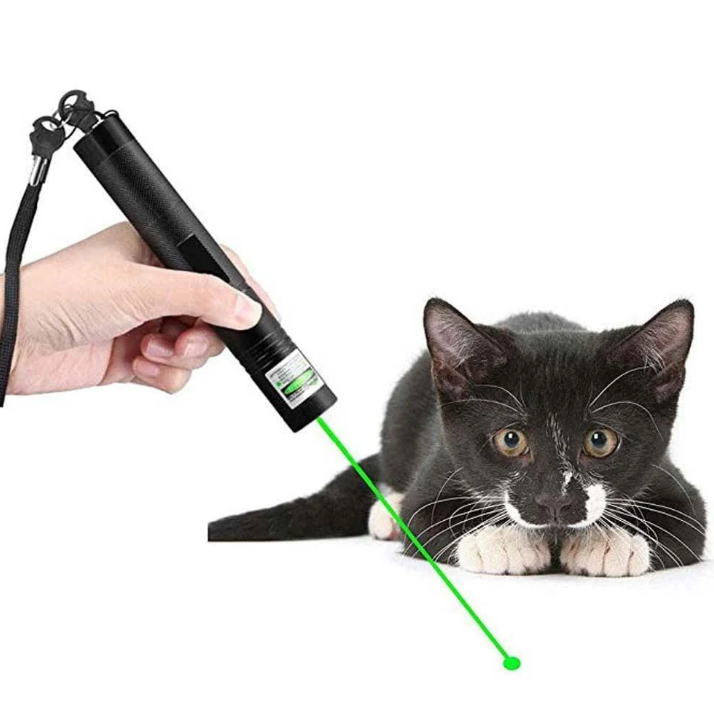 High-Power Laser Pointer 303 with Green and Red Beam for Long-Distance Use