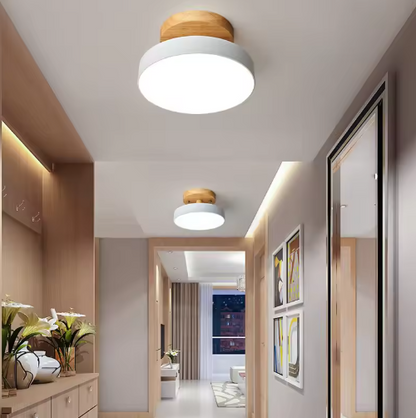 Nordic LED Ceiling Light with Modern Design and Gold Accent Lighting