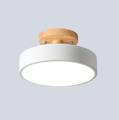 Nordic LED Ceiling Light with Modern Design and Gold Accent Lighting